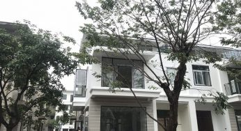 Cửa nhôm Xingfa kính cường lực, kính hộp, kính mờ